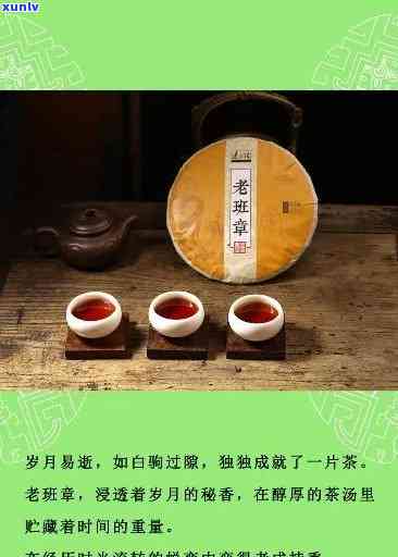 普洱茶40年：沧岁月中的风味传承