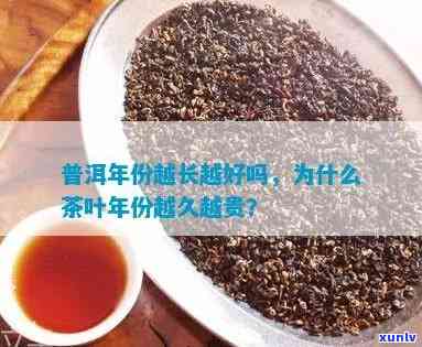 探究普洱茶年份：普洱年头越多越珍贵？