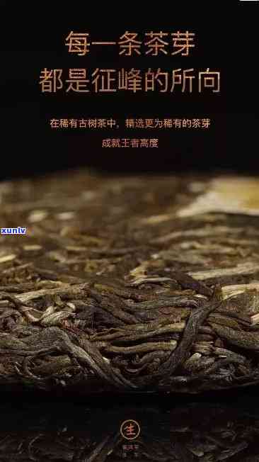 探索043老班章：秘境中的古树茶传奇