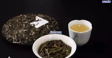 易号普洱茶：品味传统与创新的融合