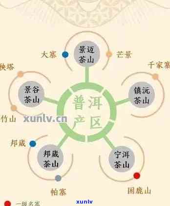 生普哪个产区好喝：产区排行揭秘