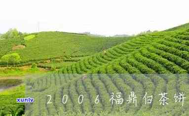 2006年福鼎普洱-福鼎普洱茶饼多少钱