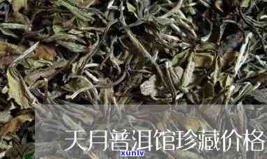 探寻天月普洱茶珍藏版：稀世珍品，价格几何？