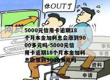 5000元信用卡逾期18个月本金加利息会涨到9000多元吗,信用卡逾期一个月利息多少