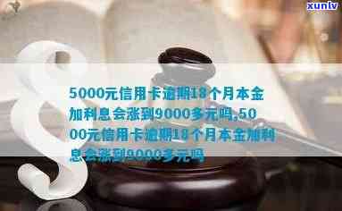 5000元信用卡逾期18个月本金加利息会涨到9000多元吗,信用卡逾期一个月利息多少