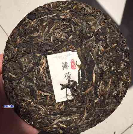 探究50年陈普洱茶的品饮价值与保存秘诀