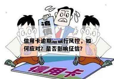 信用卡逾期风险控制升级：对持卡人影响几何？