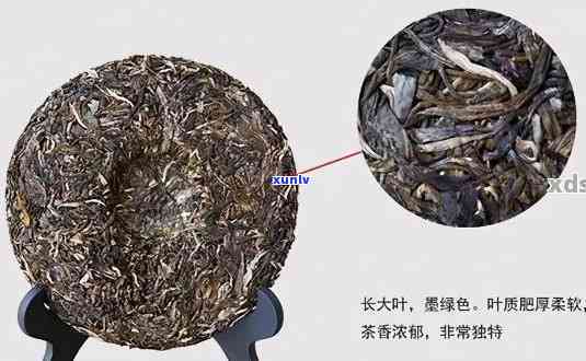 普洱茶饼大小有区别吗：标准尺寸与变异探究