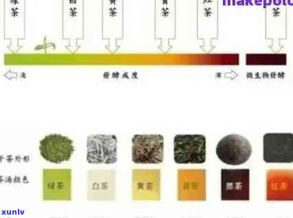 生普茶叶颜色的变化与区分：从褐红到多样色泽解析