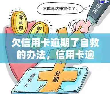 如何应对信用卡逾期还款：自救策略全解析