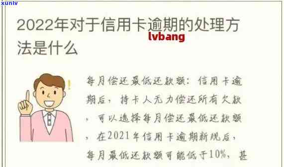 如何应对信用卡逾期还款：自救策略全解析