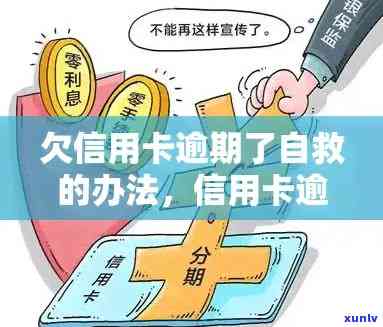 欠信用卡逾期了自救的办法：信用卡逾期协商、还款指南与政策减免