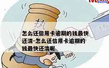 信用卡逾期怎么还债-信用卡逾期怎么还债呢