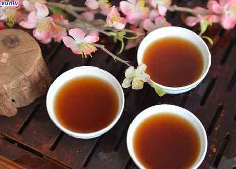 养生壶怎么煮红茶普洱茶：煮茶步骤与技巧全解析