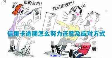 武陟信用卡逾期处理 *** -武陟信用卡逾期处理 *** 最新