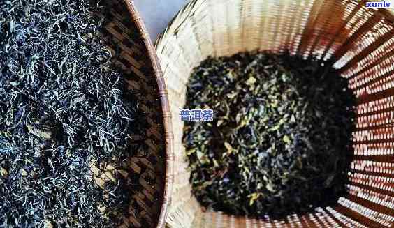 探究生普与熟普之变：年份如何影响普洱茶的成熟过程
