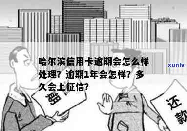 哈尔滨信用卡逾期现象分析与解决方案探讨