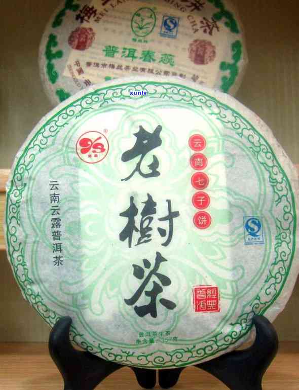 探寻2008年申奥成功背后的大益茶饼传奇