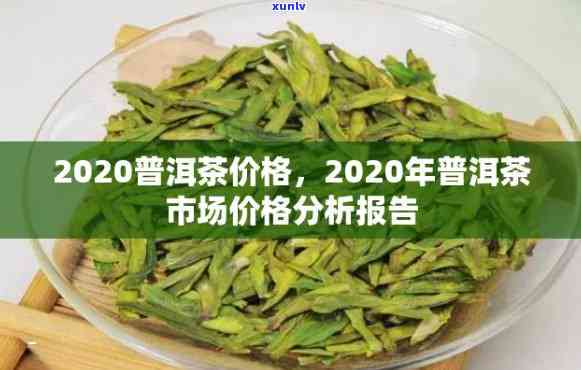 2021年普洱价格：2020年普洱茶区与茶叶行情分析