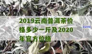 2020年普洱价格-2020年普洱茶价格