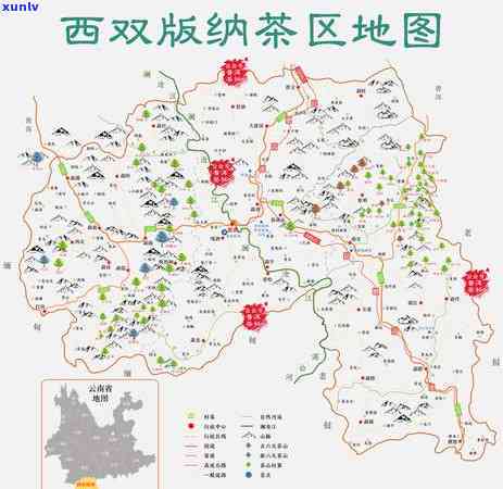 普洱茶4大产区是哪个4个地区？各自特点及茶叶品种一览