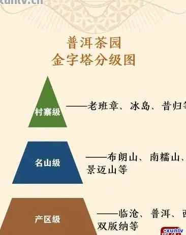 普洱茶4大产区是哪个4个地区？各自特点及茶叶品种一览