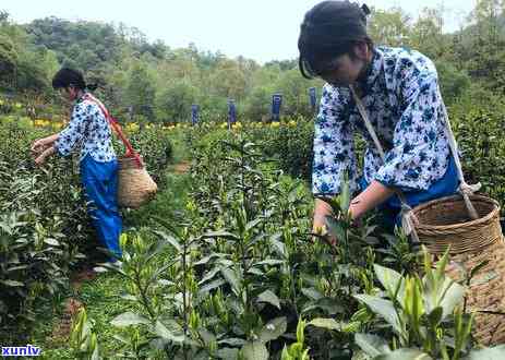 面临60000元邮政信用卡债务，求助无门