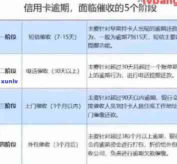 怎么催信用卡进度快：客户还款、M3、审批进度指南