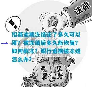 招商型银行信用卡逾期冻结了解冻流程及恢复指南