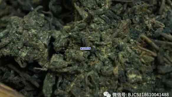 揭秘：喝出霉味的6堡茶竟是好茶的标志？