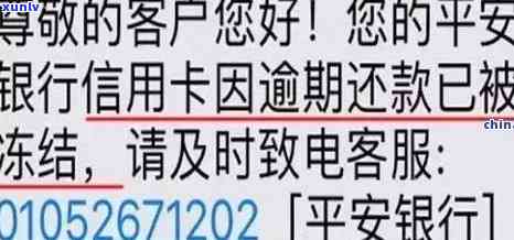 信用卡逾期还款导致银行卡被冻结，用户权益如何保障？