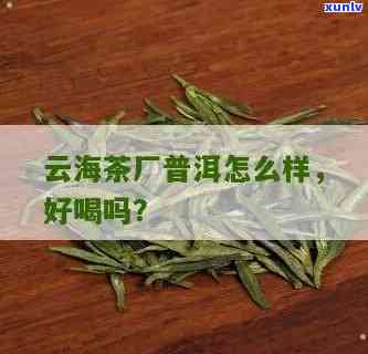 云海茶厂普洱好不好喝？探秘云海普洱熟茶品质与茶厂简介