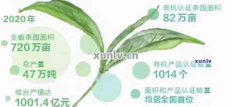 普洱山头茶价格排行：2021年最值得收藏的前十名