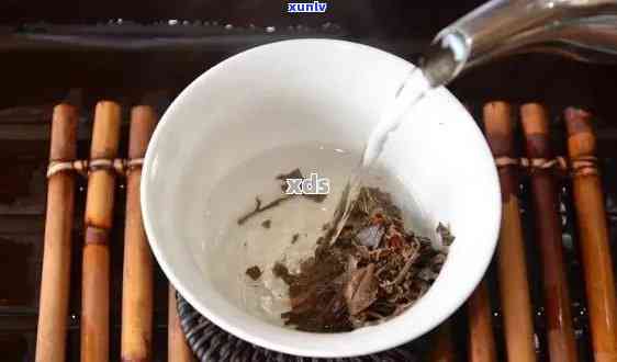 普洱白茶冲泡指南：掌握水与泡茶技巧