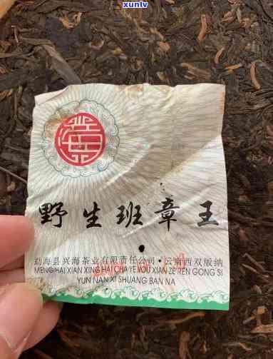 2006年兴海班章老树生态木熟茶古树王真假鉴别