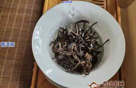 探寻2003年老班章：品味时光沉淀下的普洱茶香