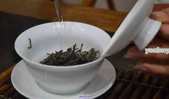 解锁普洱茶金不换的冲泡秘诀：尽享茶香韵味