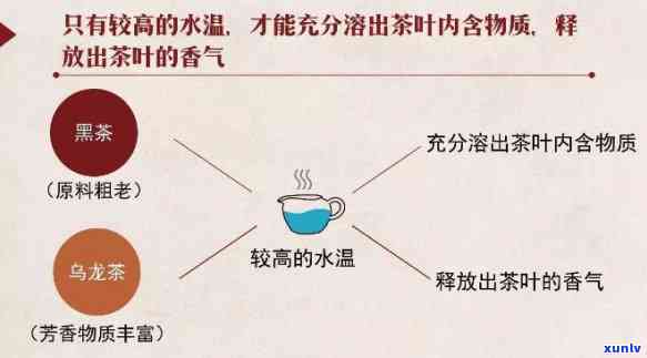 正确的水是品尝熟普洱的关键：你应该使用多少度的水？