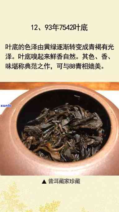 1993年份普洱熟茶市场价格分析与收藏价值评估