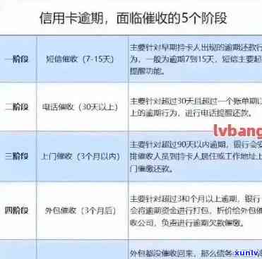 熟普洱茶一次泡多少毫升合适？