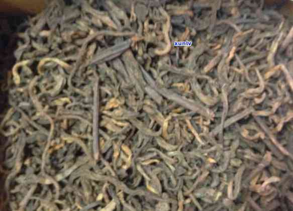 熟普洱茶哪个好：生熟比较、推荐与选购指南