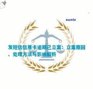 发短信信用卡逾期已立案:信用卡逾期收到立案短信怎么办,立案含义解析