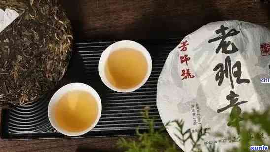 老班章普洱茶厂家：传承古树茶韵，匠心独运经典之作