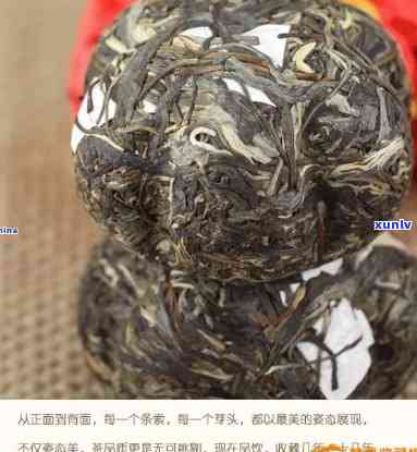 翡翠豆种的意义与价值：最差、级别、外观和价格