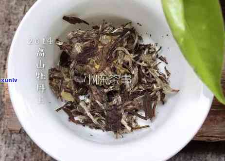 探寻普洱茶更高价值：最贵普洱茶一斤价格几何？