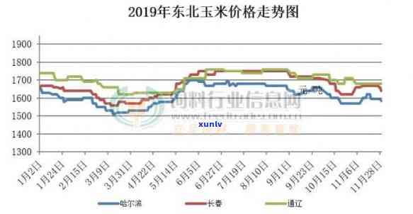 黑龙江当前玉米价格详情