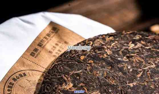 普洱人家茶叶价格与品质评测：熟茶茶饼多少钱？