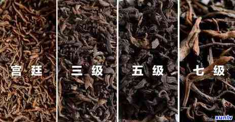 云南普洱聘号1982年聘号普洱茶拍卖， *** 9999聘普洱王正品包装