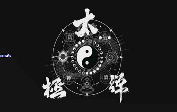 太极禅茶多少钱普洱-太极禅生活馆加盟