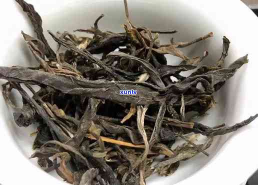 昔归古树茶：风味独特，品质越的茶叶佳品